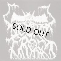 Necrofrost - In a Misty Soar and on Its Swampy Floor / CD