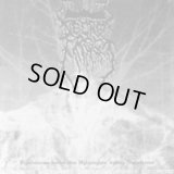 Necrofrost - Bloodstorms Voktes over Hytrungas' Dunkle Necrotroner / CD