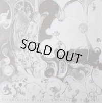 Clandestine Blaze - Harmony of Struggle / CD