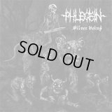 Phlegein - Silver Veins / CD