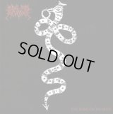 Ride for Revenge - The King of Snakes / CD