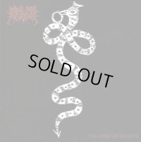 Ride for Revenge - The King of Snakes / CD