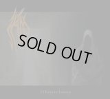 Hallig - 13 Keys to Lunacy / DigiCD