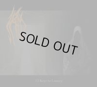 Hallig - 13 Keys to Lunacy / DigiCD