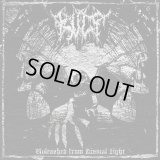 Kult - Unleashed from Dismal Light / CD