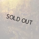 Petrychor / Frozen Ocean - Autumn Bridges / CD