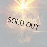 Elderblood - Son of the Morning / CD