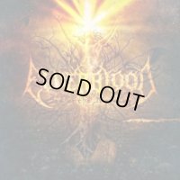 Elderblood - Son of the Morning / CD