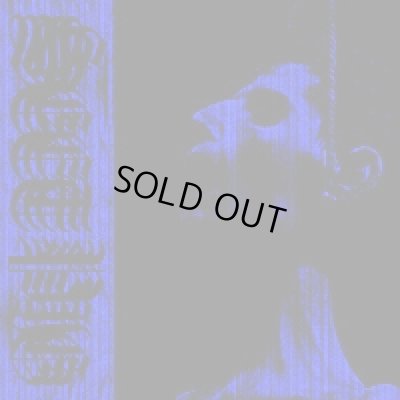 画像1: Sect Pig - Slave Destroyed / CD