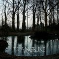 Trancelike Void - Where the Trees Can Make It Rain  / CD
