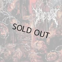 [BCE 005] Gorevent - Abnormal Exaggeration / CD
