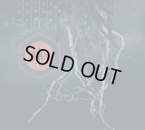 Thaw - Thaw / DigiCD