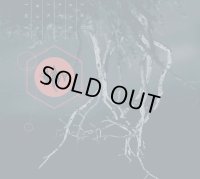 Thaw - Thaw / DigiCD