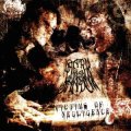 Dark Man Shadow - Victims of Negligence / CD