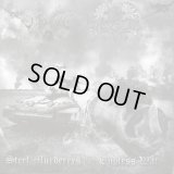 Old Fire / Wings of War - Steel Murderers / Endless War / CD