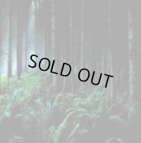 Astarot - As Leaves Fall / CD