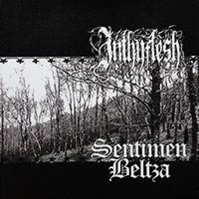 画像1: Inthyflesh / Sentimen Beltza - Split / EP