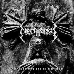 画像1: Necrostrigis - The Dark Regions of Witchkvlt / EP
