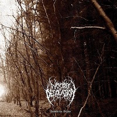 画像1: Woods of Desolation - Towards the Depths / CD