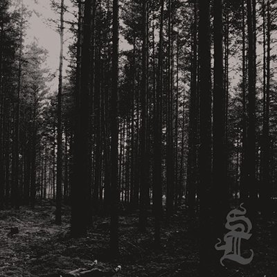 画像1: Svarti Loghin - Skog / CD