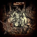 Screaming Forest - Assault / CD