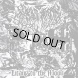 Shroud of Satan - Litany to the Moon / LP
