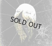 Temple of Baal - Verses of Fire / DigiCD