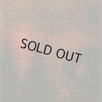 Farsot - IIII / DigiCD