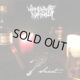 Woods of Infinity - Snart... / DigisleeveCD