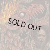 Pseudogod - Deathwomb Catechesis / CD