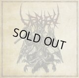 Verhext - Dogma / CD