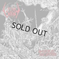 Sigh - Scorn Defeat / 2CD