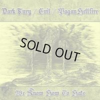 Dark Fury / Evil / Pagan Hellfire - We Know How to Hate / CD