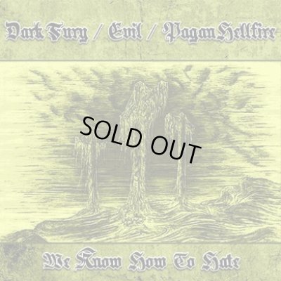 画像1: Dark Fury / Evil / Pagan Hellfire - We Know How to Hate / CD