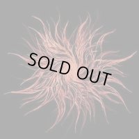 Galaktik Cancer Squad - Ghost Light / CD