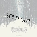 Amiensus - Restoration / DigiCD