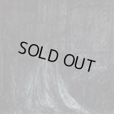 Sul Ad Astral - Sul Ad Astral / DigiCD