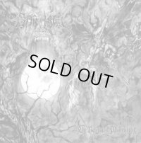 Baptism - The Beherial Midnight / CD