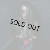 Det Vidaapne Gap - The Temple of the Mind / DigiCD