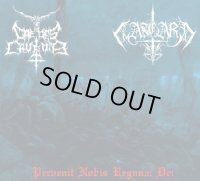 Aasgard / Caedes Cruenta - Pervenit Nobis Regnum Dei / CD