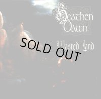 Heathen Dawn - Wasted Land / CD