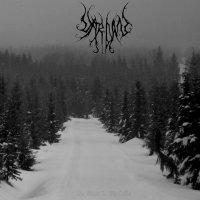 Vardan - The Woods Is My Coffin / CD