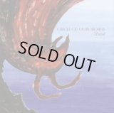 Circle of Ouroborus - Unituli / CD