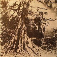 W.A.I.L. - Wisdom Through Agony into Illumination and Lunacy / CD