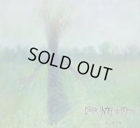 Door into Emptiness - Sviata / DigiCD