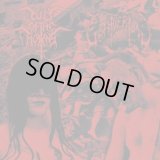 Cult of the Horns / Goatvermin - Split / CD