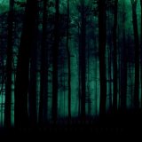 Morphinist - The Pessimist Session / DigiCD