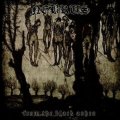 Nebrus - From the Black Ashes / CD