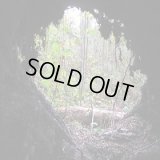 Hypothermia - Gratoner / LP