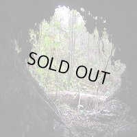 Hypothermia - Gratoner / LP